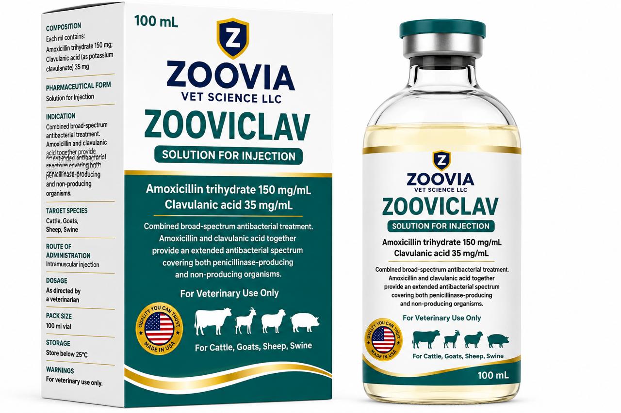 ZOOVICLAV